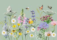 Feldblumen Natur mit Schmetterlingen und Bienen