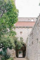 Jardin botanique de l'île de Lokrum Dubrovnik
