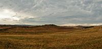 Le Crete - Toscane - Italie - panorama