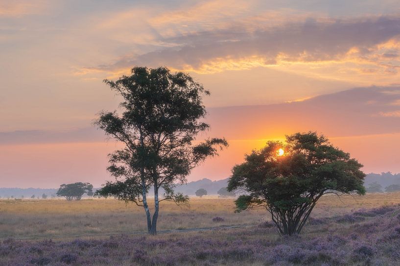 Goldener Himmel von Jan Koppelaar Fotografie