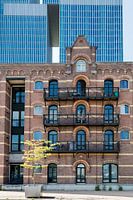 Rotterdam Alt und Neu 2