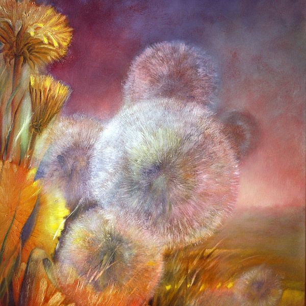 Pusteblumen im Abendlicht von Annette Schmucker