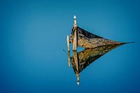 Gull on pole in windless clear blue water