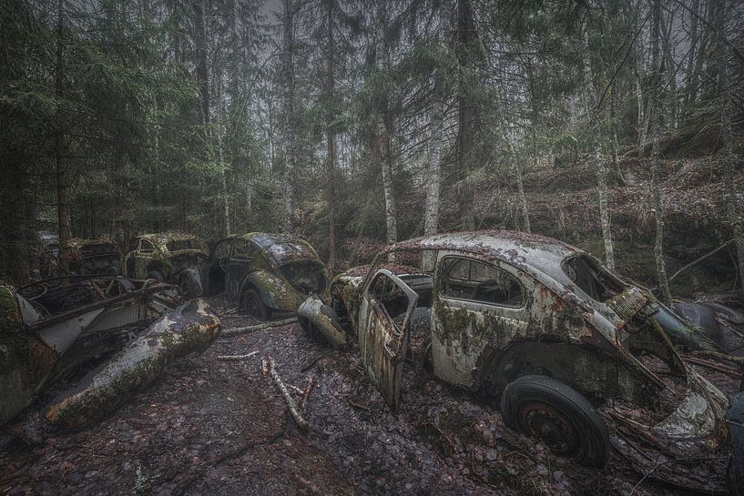 Volkswagen Käfer Stau von Maikel Brands