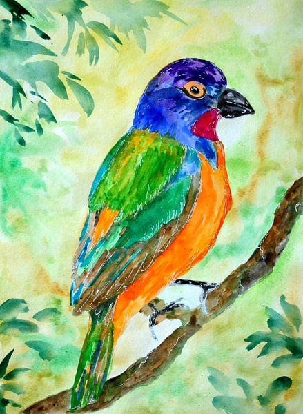 Bunter Papstfink von Sebastian Grafmann