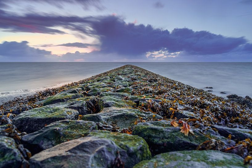 Seegras auf einem Basaltstein-Sturmbrecher mit dramatisch bewölktem Himmel von Fotografiecor .nl