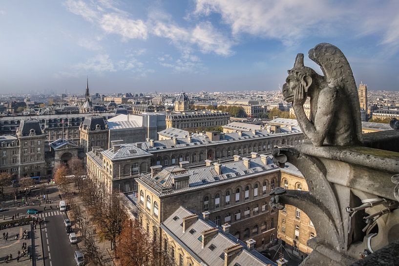 Vue de la cathédrale Notre Dame, Paris par Christian Müringer