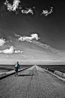 Le cycliste solitaire