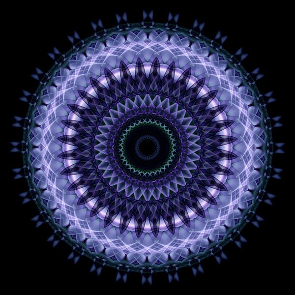 Ich bin... Federn von Jacqueline Lemmens