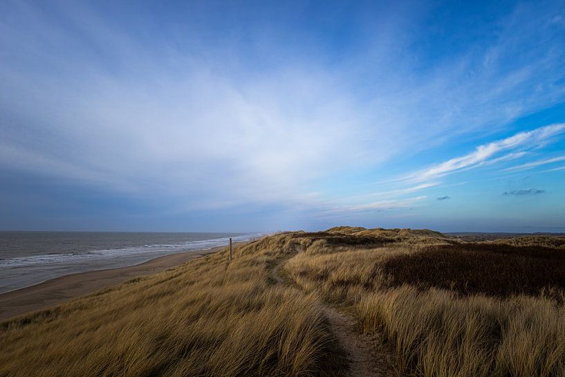 Noordvoort by Tessa van Duin