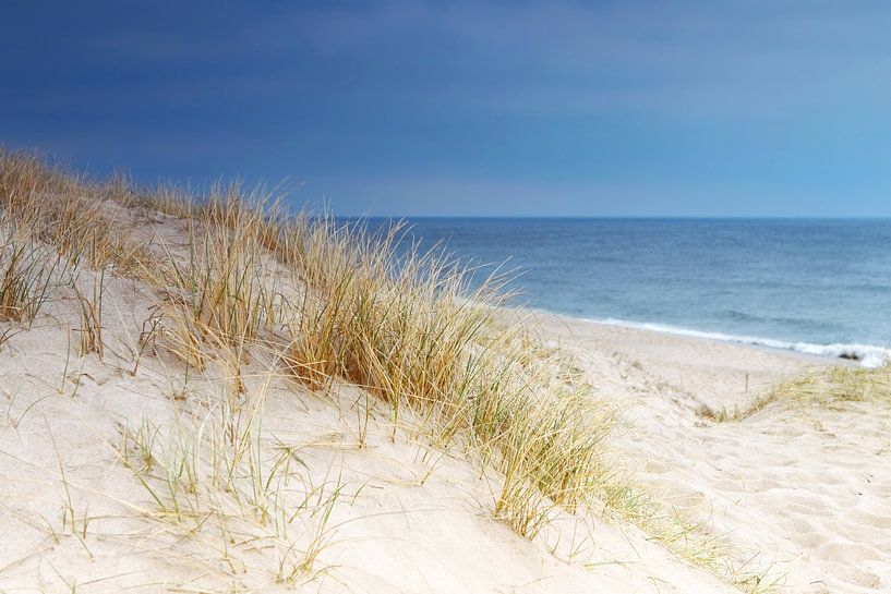 Dune by the sea by Frank Herrmann
