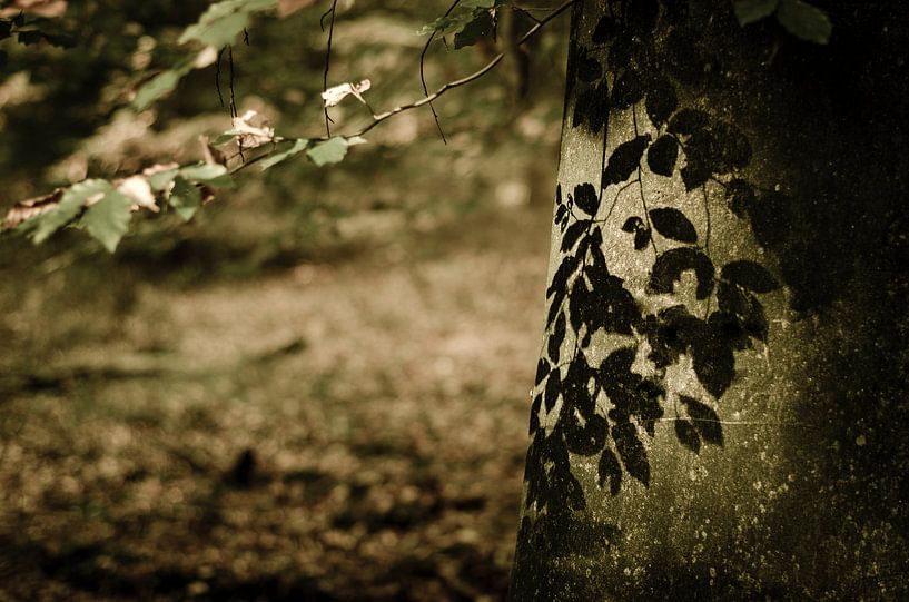 Zeichen von Dick Nieswaag