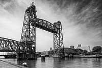 Pont de Koningshaven (de Hef)