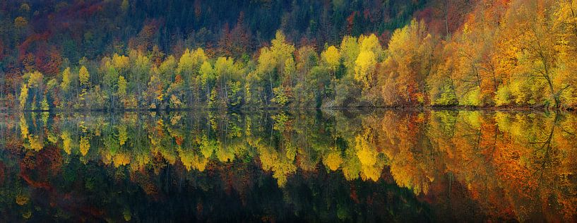 Autumnal silence by Burger Jochen