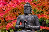 Buddah in autumn