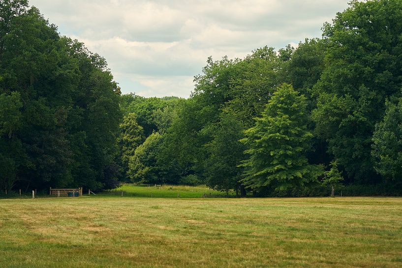 Rural ... by Eric Fotografie