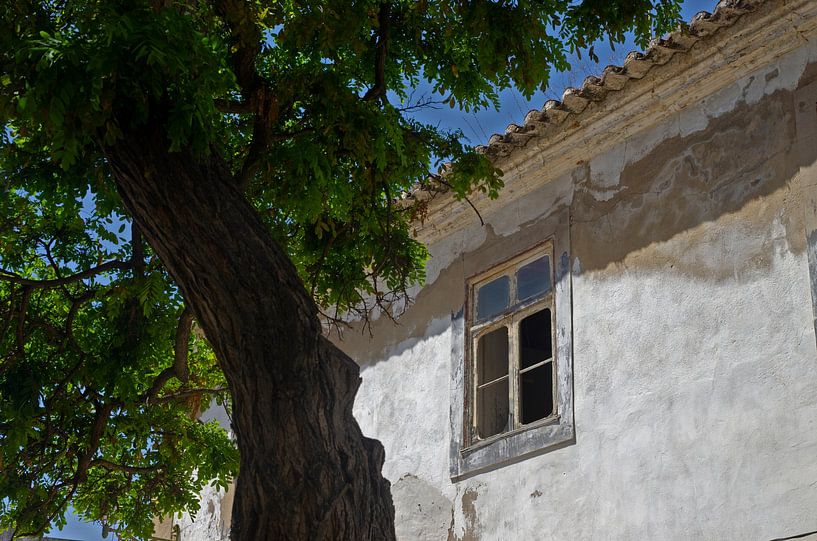 Decay by Romuald van Velde