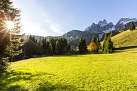 Paysage de montagne "Sunny Mountain Meadow" (pré de montagne ensoleillé)