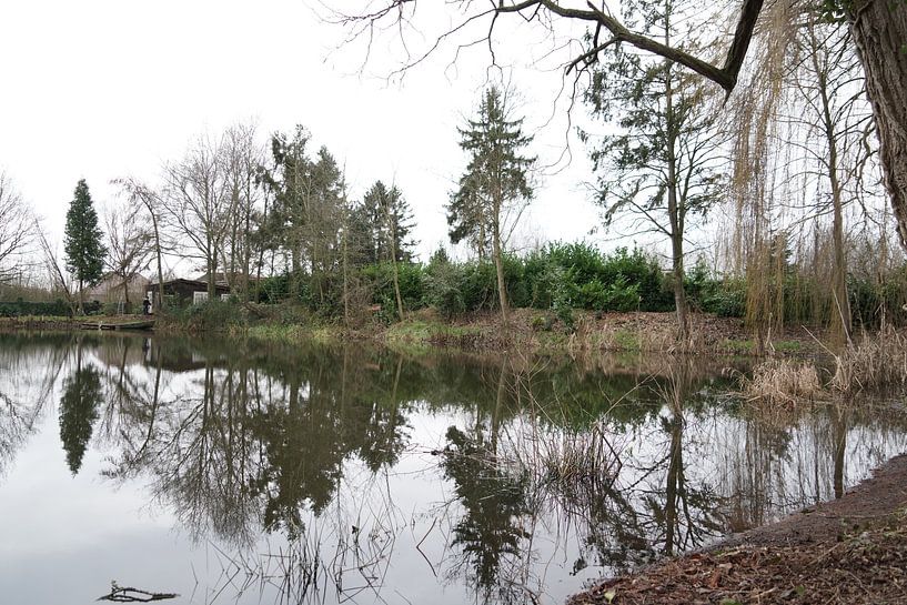 Étang par F. van extergem