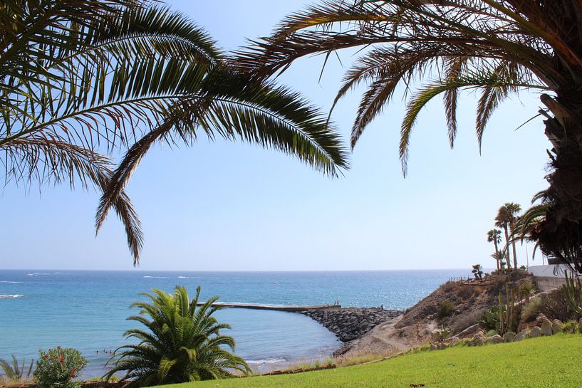 Beach tenerife palm trees by Wouter Nassen