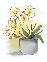 Gelbe Orchidee im Topf Illustration