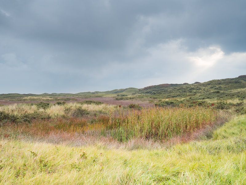 Le Slufter, Texel par Johanna Blankenstein