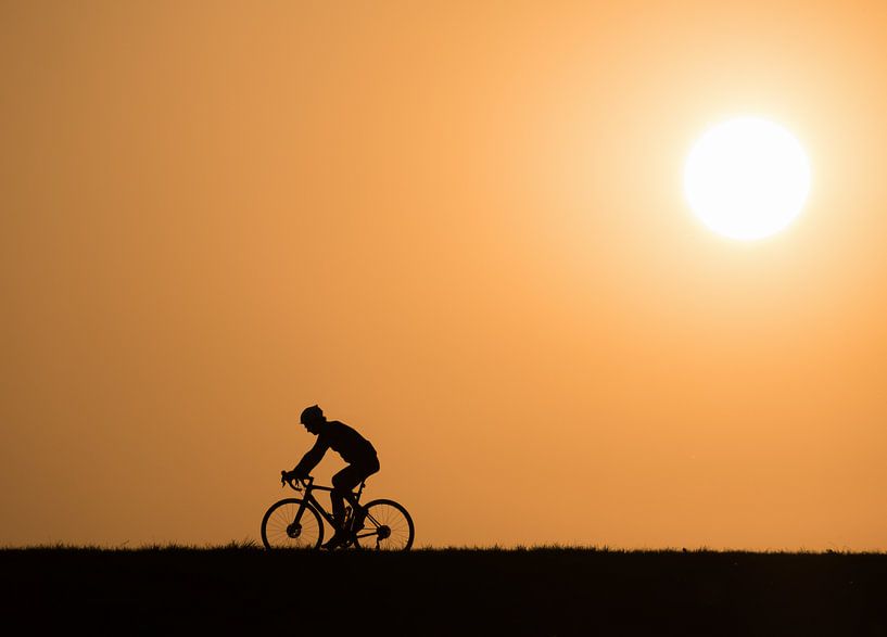 Radfahrer auf dem Deich von Femke Straten