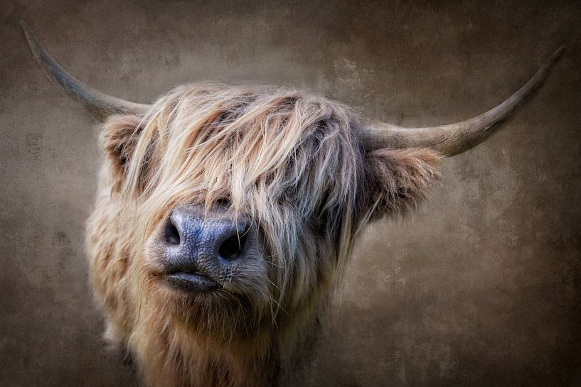 She's a beauty von Claudia Moeckel