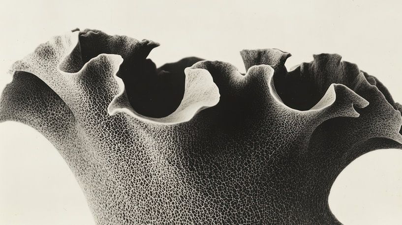 Horn by Franka Poulain