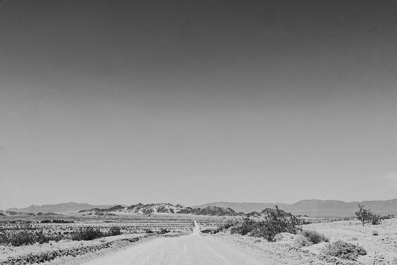 California by KUNSTBLOC | Anca Blok