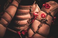 Bondage Roses