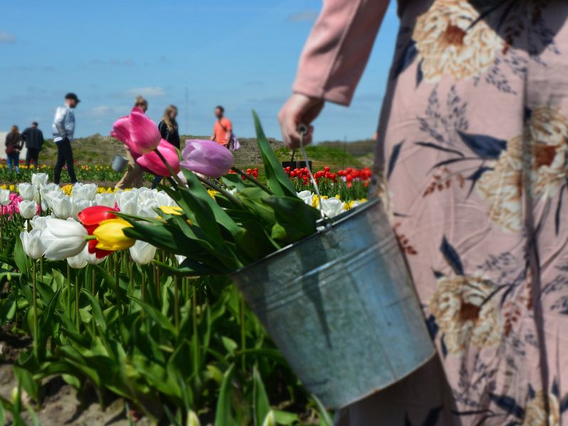 Tulpenpflücker Garten Drenthe von Henriette Tischler van Sleen