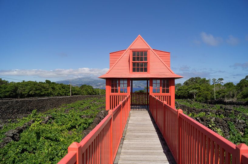  red watchtower by Andrea Ooms