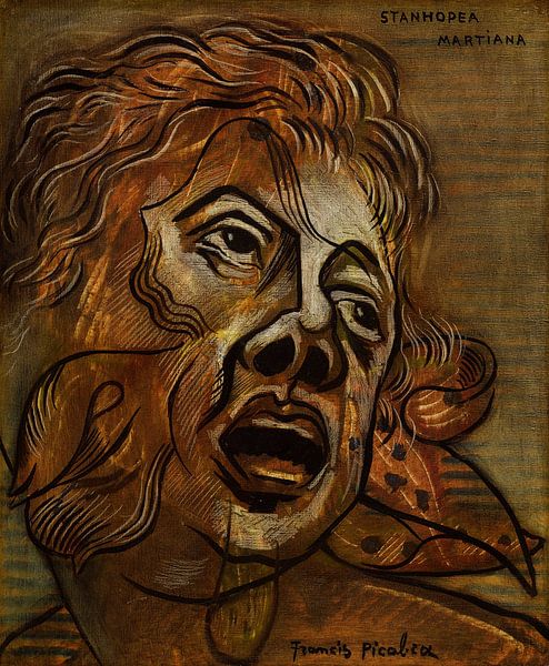 Francis Picabia, Stanhopea Martiana, vers 1932 par Atelier Liesjes