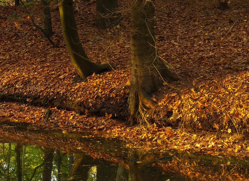 Landgut Fraeylemaborg - Groningen (Niederlande) von Marcel Kerdijk