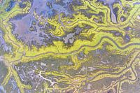 La terre noyée de Saeftinghe