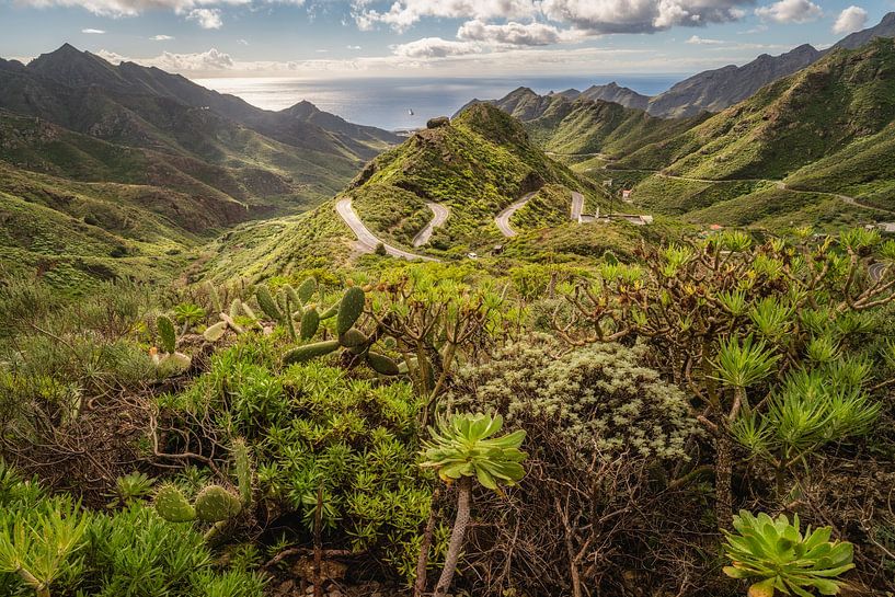 Das hawaiianische Gefühl in Europa _ H von Loris Photography