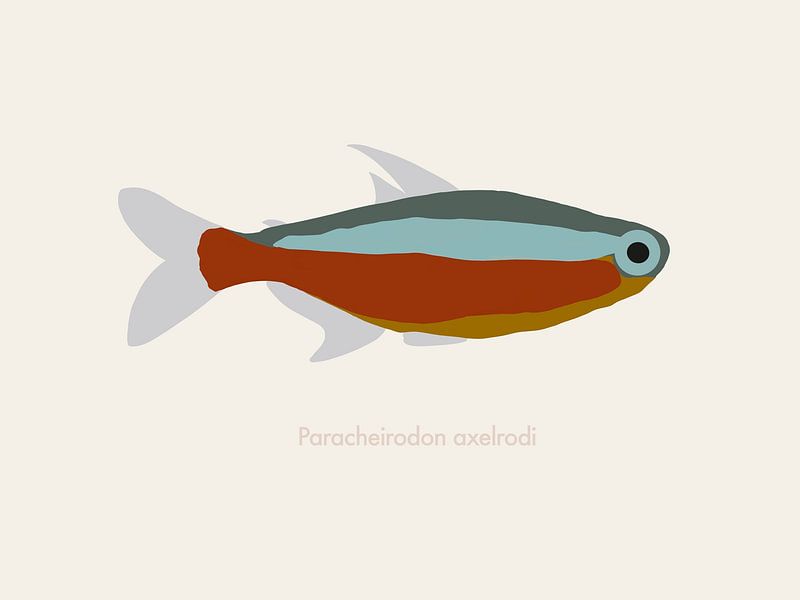 An illustration of a small fish by UMA Digital NL