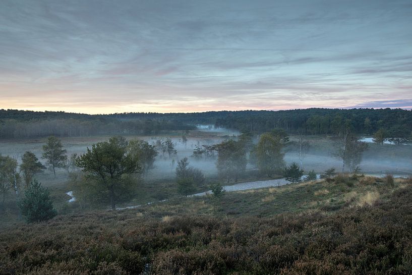 Vale of the Red brook by Francois Debets