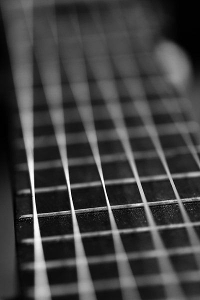 Strings and frets by Monique Verlouw