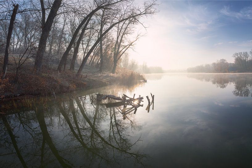 In der Gefangenschaft der Morgendämmerung von Stanislav Salamanov