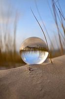 Evening at the dunes