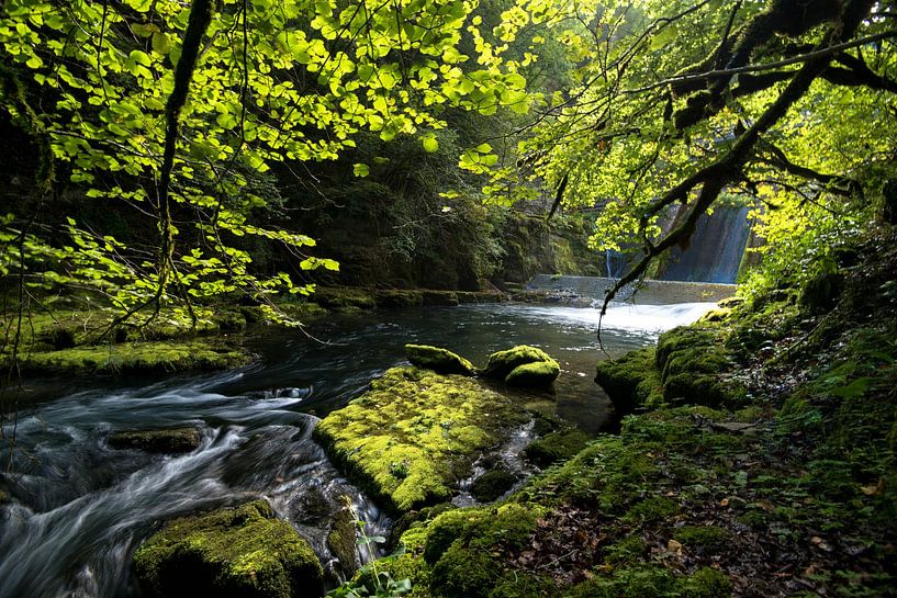 The Loue in the Doubs in France by Tanja Voigt