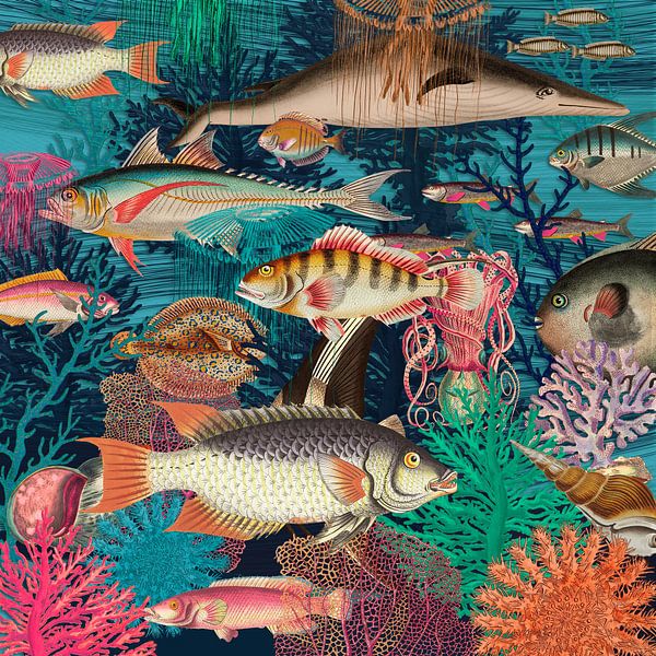 Counting Fish von Marja van den Hurk