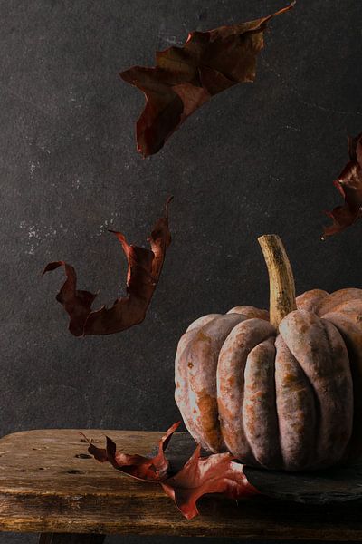 Citrouille d'automne par simone swart
