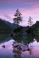 Rosa Sonnenuntergang, Hintersee Deutschland