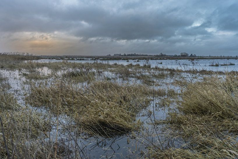 Hooge Boezem - Haastrecht underwater. by Rossum-Fotografie