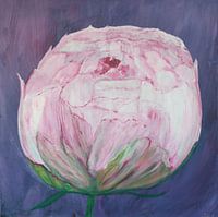 Peony