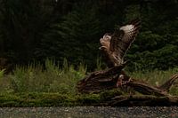 Prêt pour le décollage