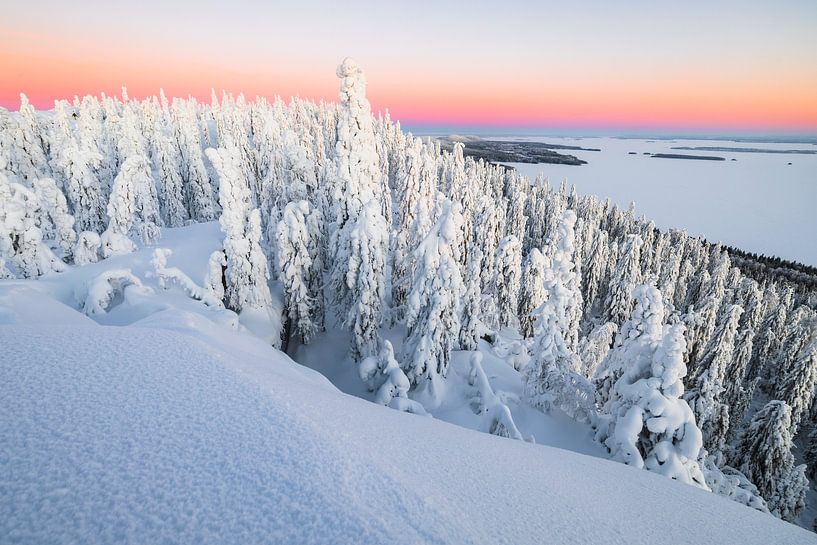 Großansicht der Winterlandschaft im Koli NP von Martijn Smeets